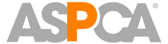 Pet Insurance - Beyond Compare